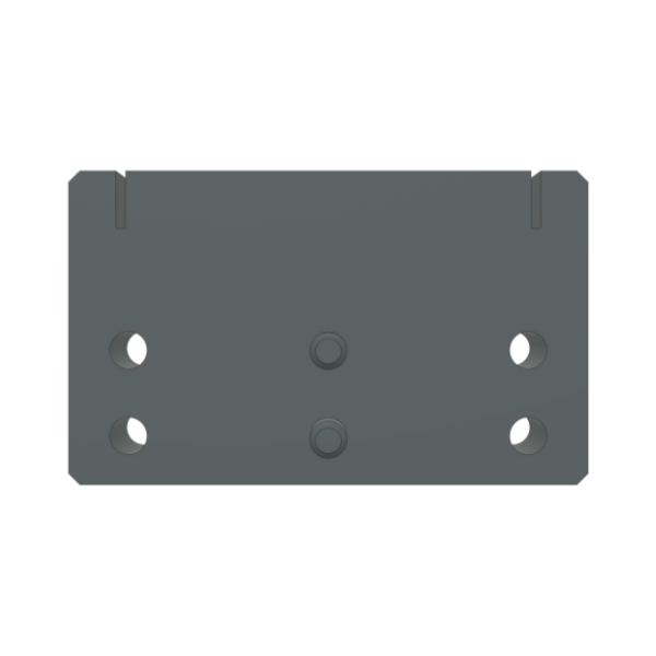 Cale de gâche pour ds30x0/dsm50x0