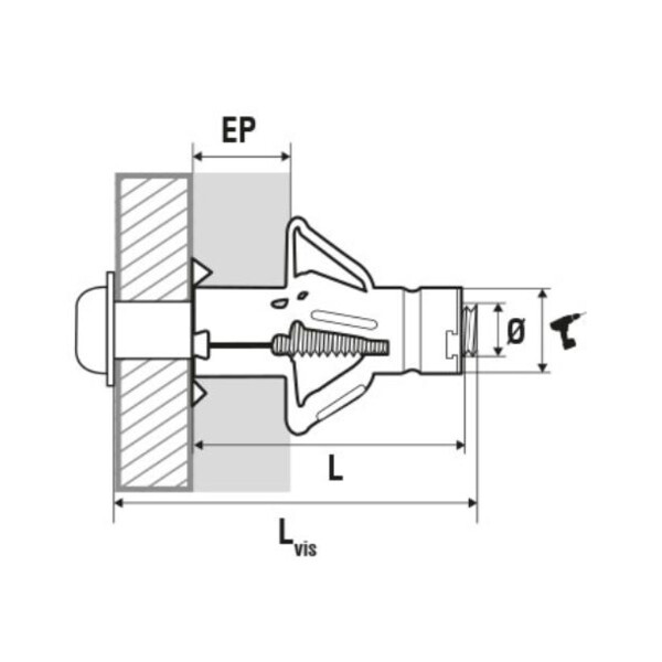 Cheville à expansion + vis