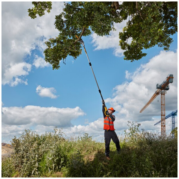 Elagueuse sur perche 18v  20cms