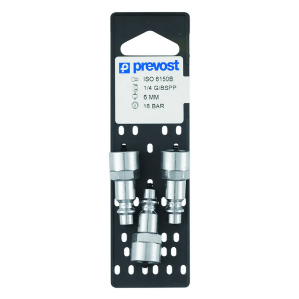 Embout filetage femelle cylindrique g1/4 (par 3)