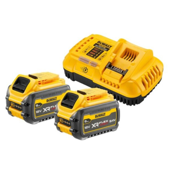 Lot 2 batt + chargeur flexvolt 18-54v