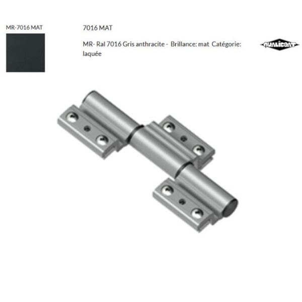 Paumelle 3 lames monza - ce -