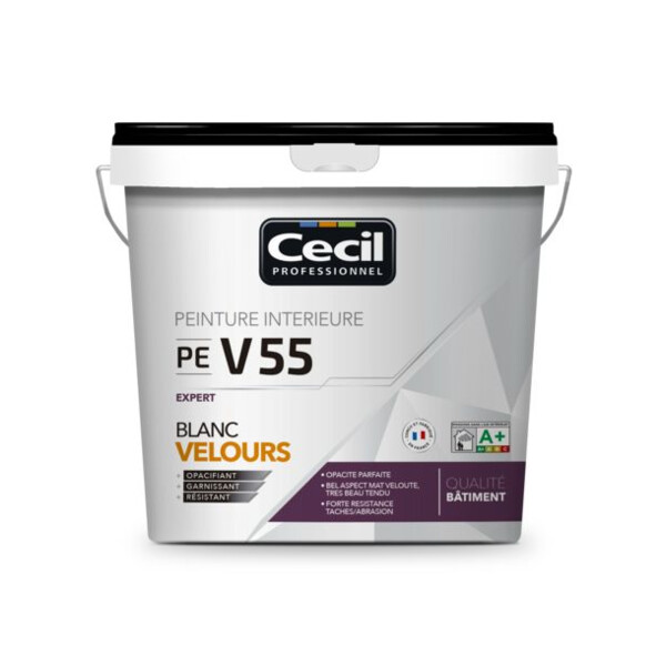 Peinture de finition qualite pro expert 55