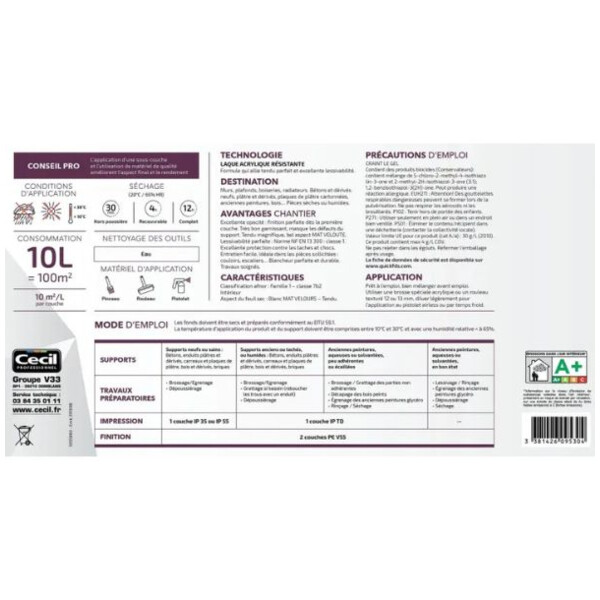 Peinture de finition qualite pro expert 55