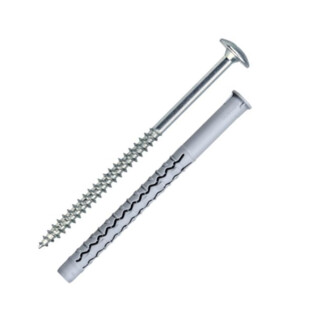 Cheville nylon + vis tête large G&B