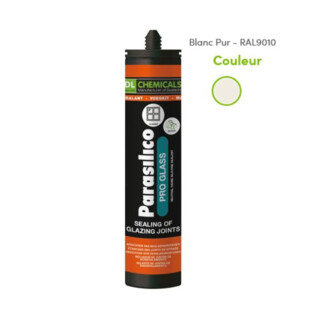 Mastic silicone Pro-Glass Dl Chemicals