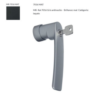 Poignée IRIS TBT à clé Fapim