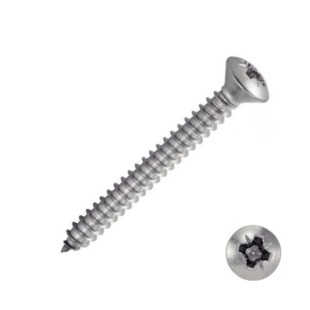 Vis tôle inox tête bombée pozi Acton