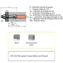 Goujon d'ancrage fileté fte
