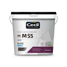 Peinture de finition qualite pro expert 55