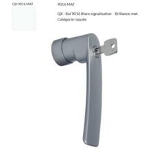 Poignée iris tbt à clé